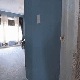 GIF showing Baseline