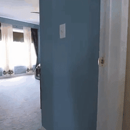 GIF showing GF