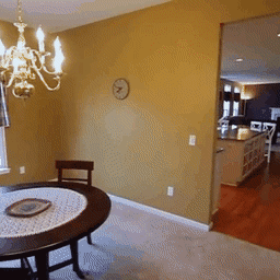 GIF showing GF